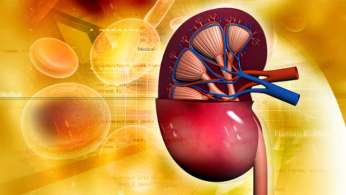 Böbreğini Bağışlayanlarda Metabolik Sendrom