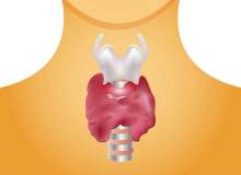 Hipertiroidizm Diyeti Önerileri