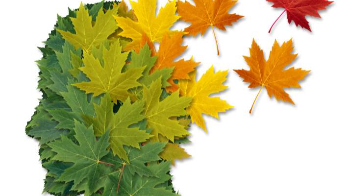 Ani Kısa Dönem Hafıza Kaybının Sebepleri