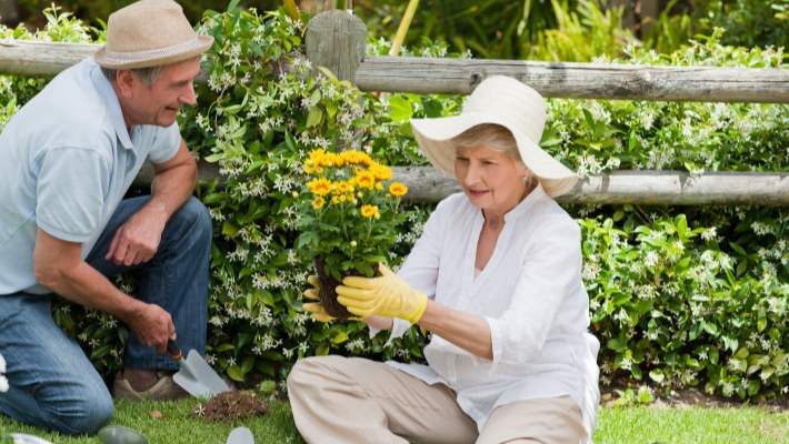Bahçe İşleri Ve Hobiler Kalp Krizi Riskini Düşürebilir