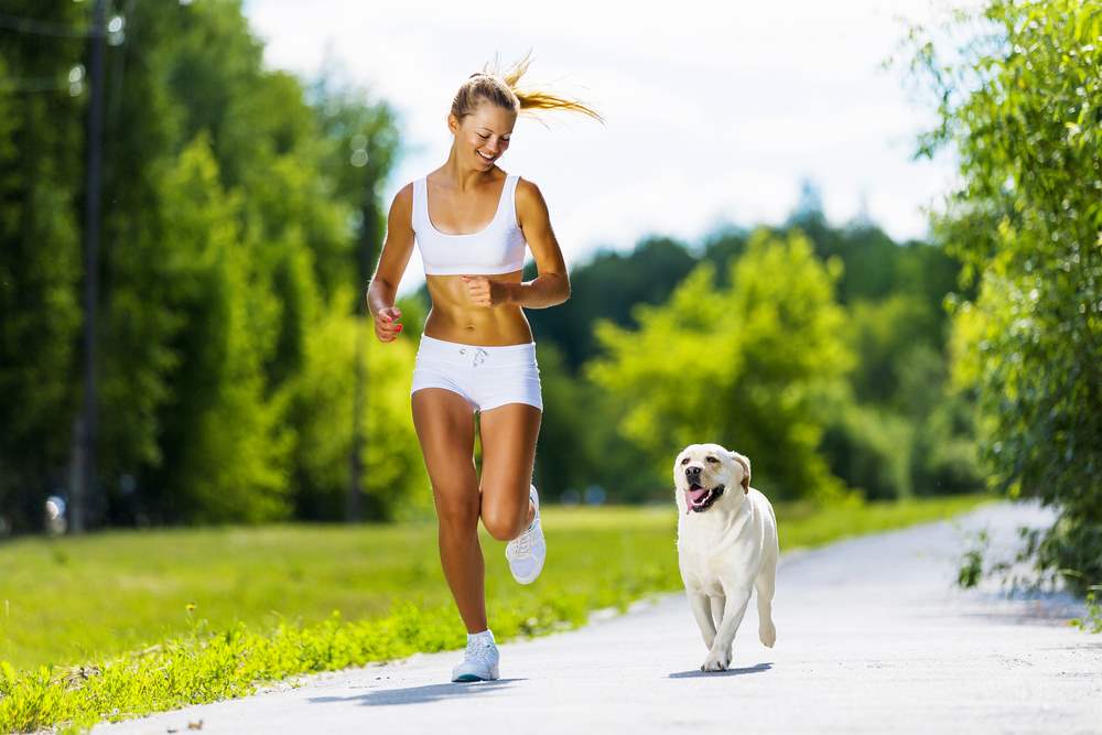 Koşucular ve Köpek Saldırıları