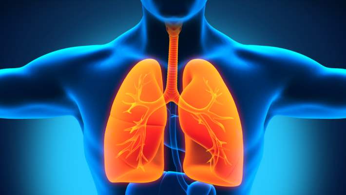 Akciğer Hastalıkları İçin Bitkisel Çareler Var Mıdır?