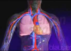 Akciğer Embolisi