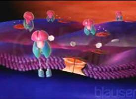 Gebelikte Şeker Hastalığı (Gestasyonel Diyabet) Gebelikte Şeker Hastalığı (Gestasyonel Diyabet)